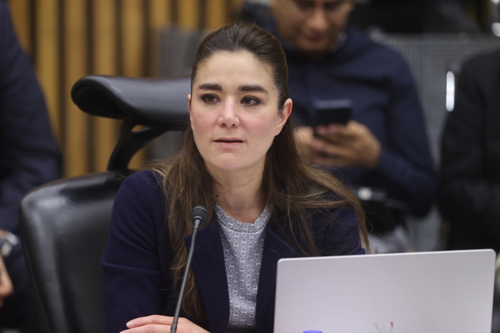 Dania Ravel, Consejera Electoral