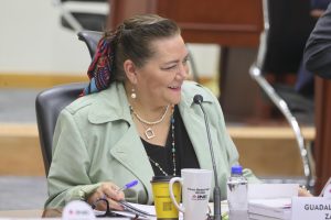 Consejera Presidenta del INE, Guadalupe Taddei