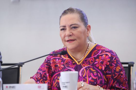 Guadalupe Taddei, Consejera Presidenta del INE