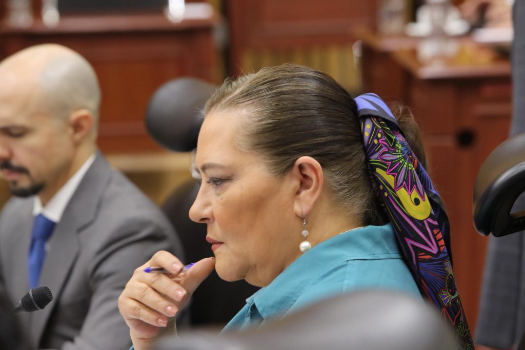 Consejera Presidenta del INE, Guadalupe Taddei