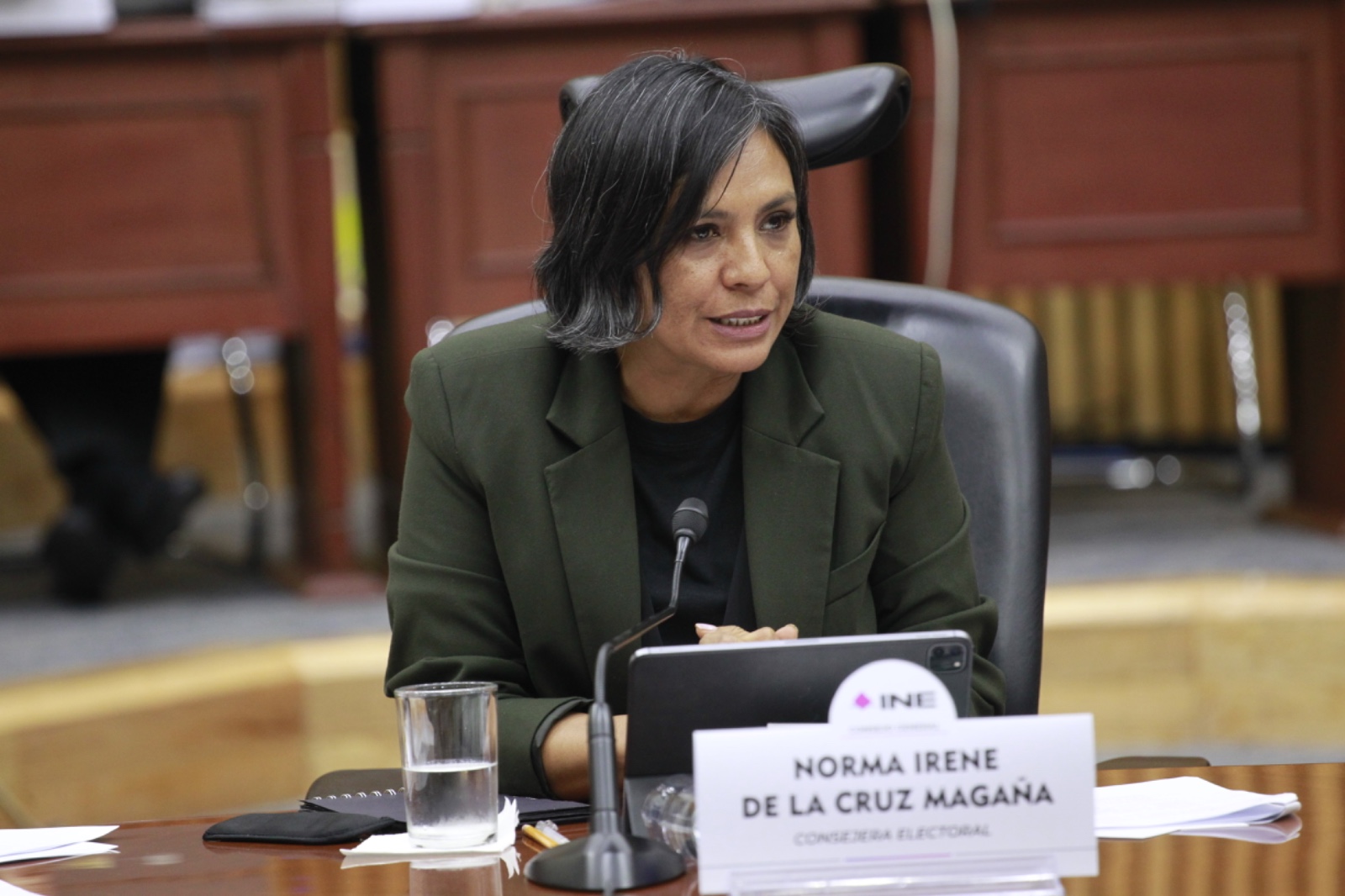 Consejera Electoral, norma De La Cruz