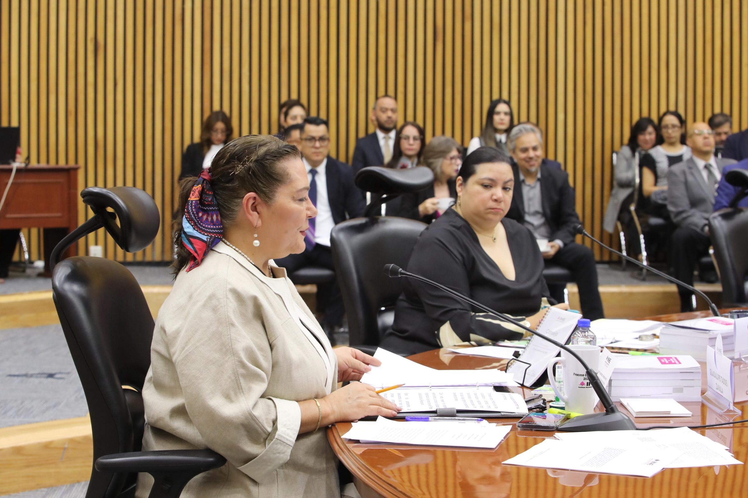 Consejera Presidenta, del INE, Guadalupe Taddei