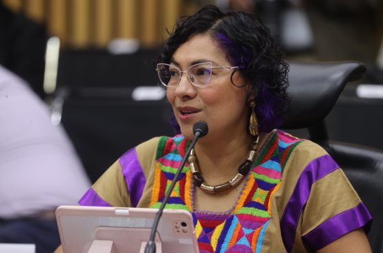 Consejera Electoral, Rita Bell López