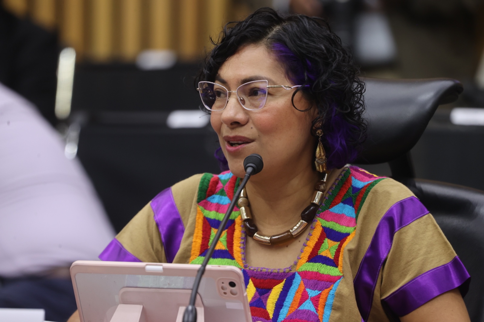 Consejera Electoral, Rita Bell López