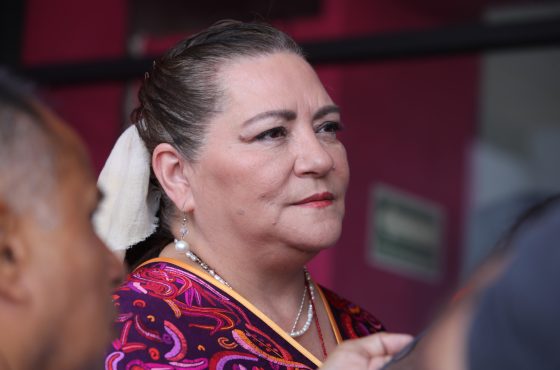 Consejera Presidenta del INE, Guadalupe Taddei