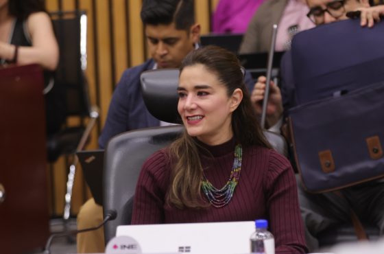 Consejera Electoral, Dania Ravel