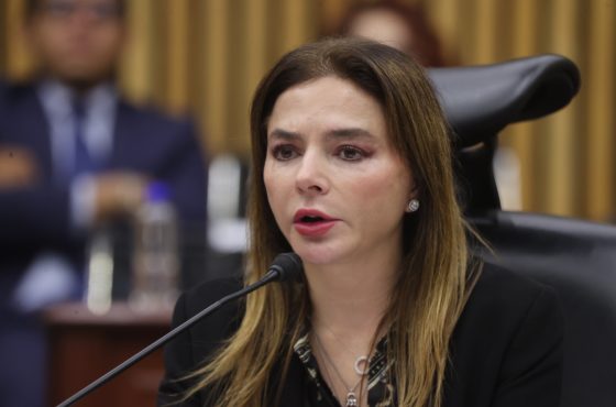 Consejera Electoral, Carla Humphrey