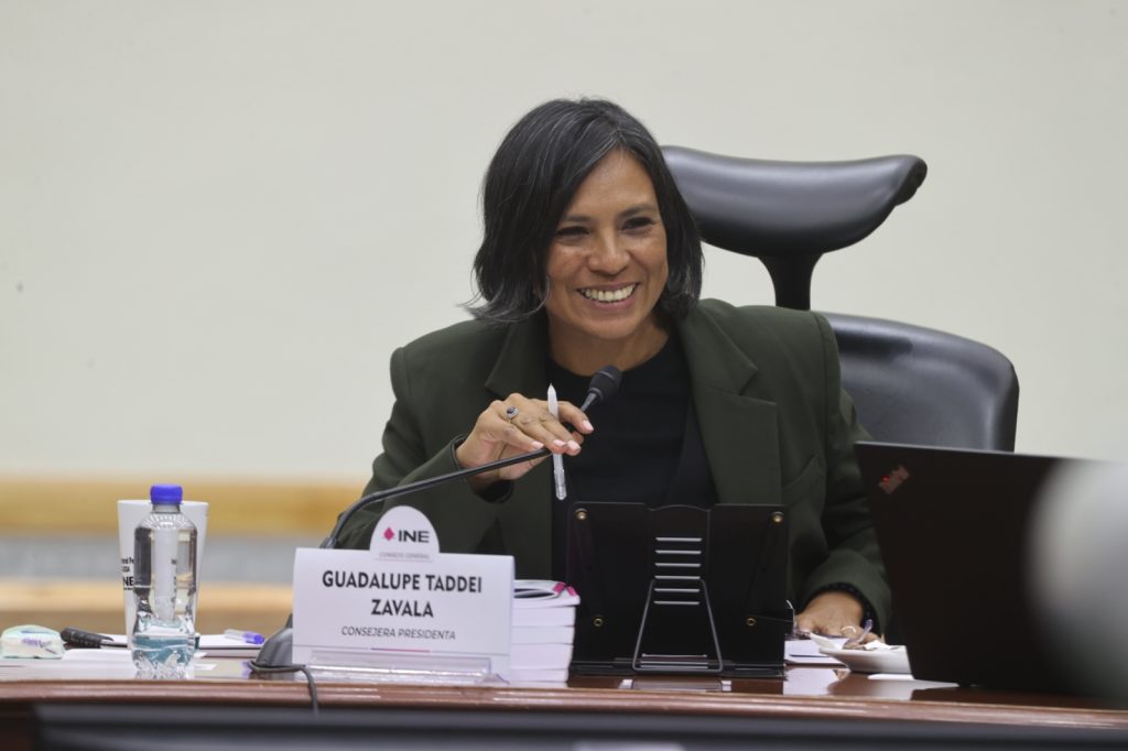 Consejera Electoral, Norma De La Cruz