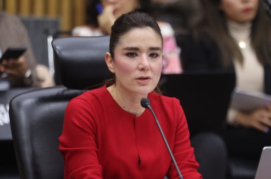 Consejera Electoral, Dania Ravel