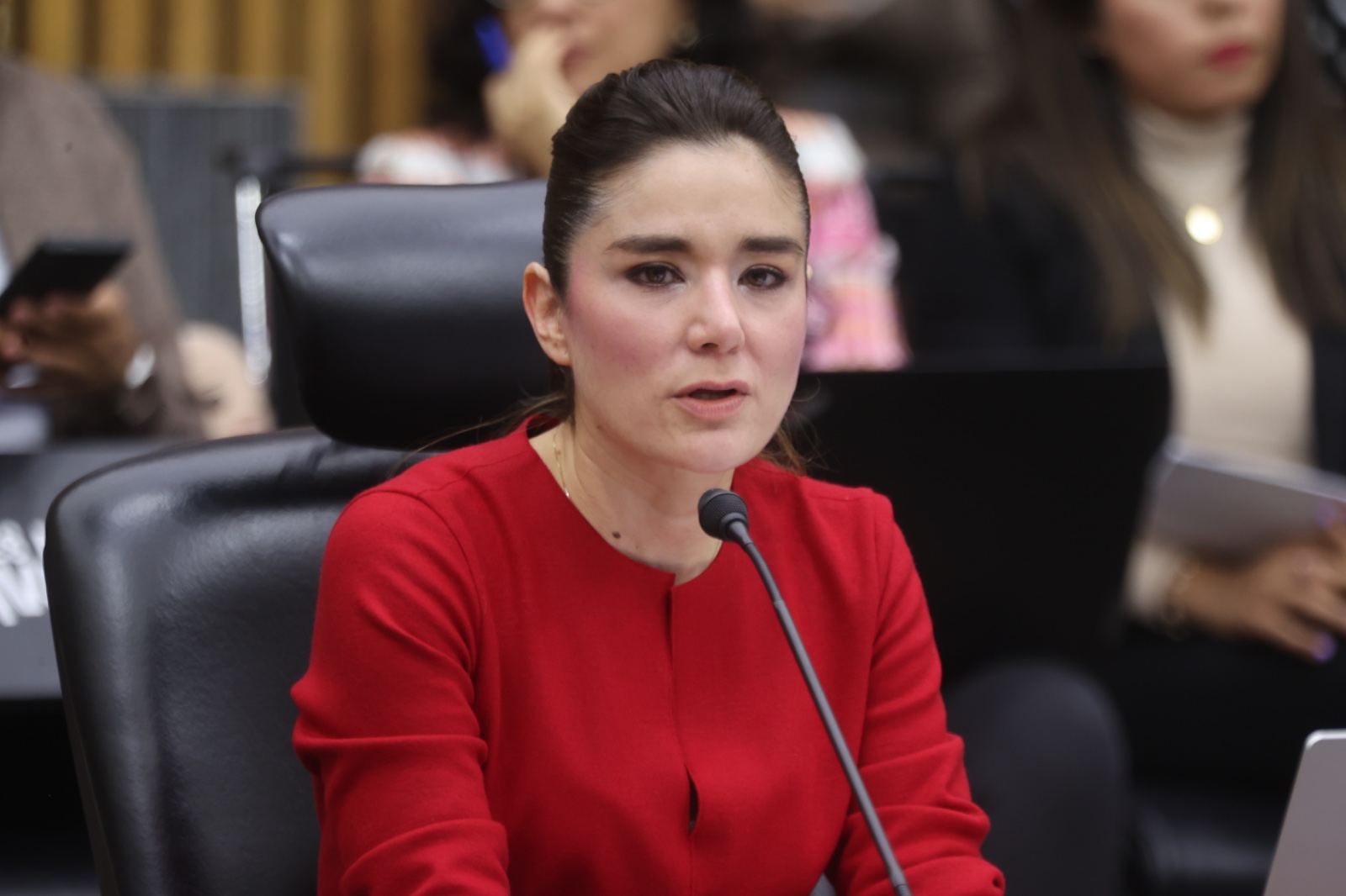 Consejera Electoral, Dania Ravel