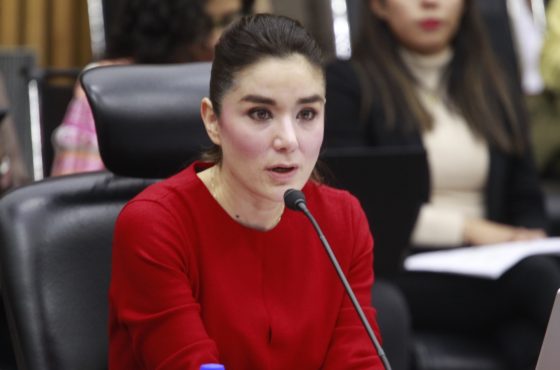 Consejera Electoral, Dania Ravel