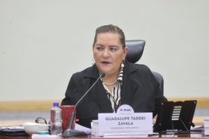 Consejera Presidenta del INE, Guadalupe Taddei