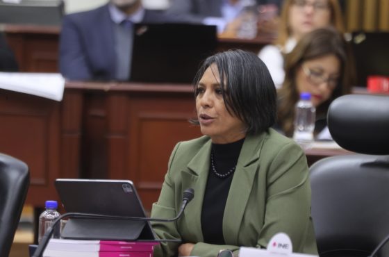 Consejera Electoral, Norma De La Cruz