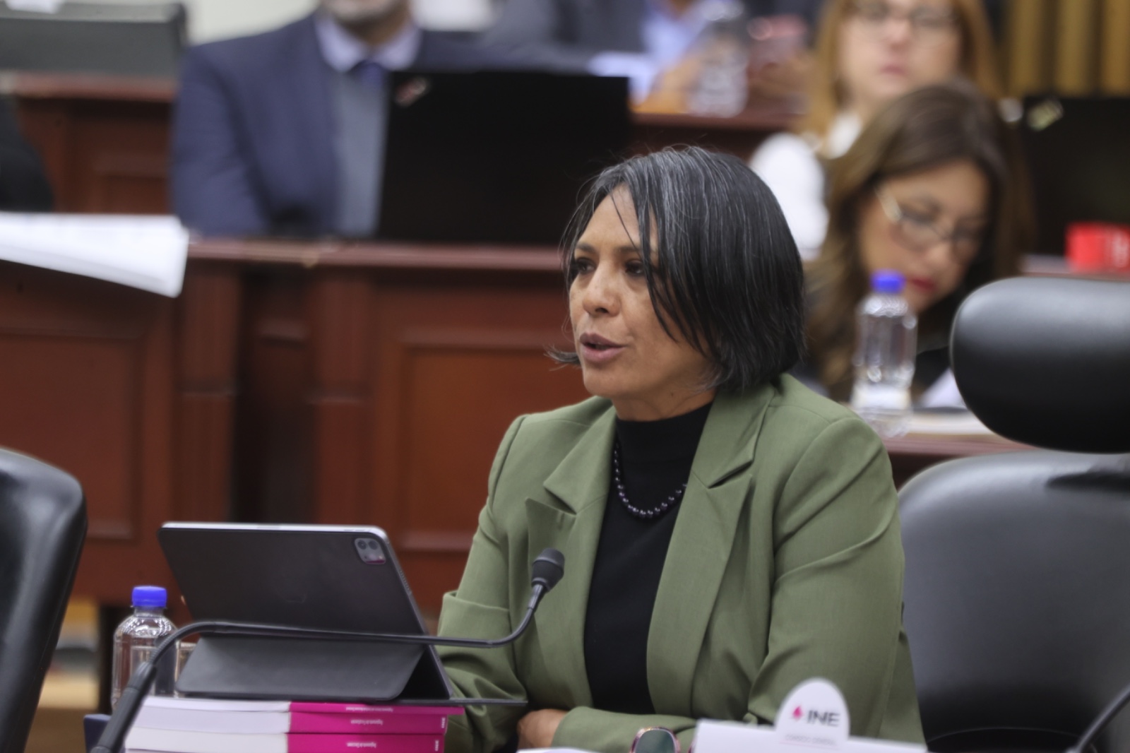 Consejera Electoral, Norma De La Cruz