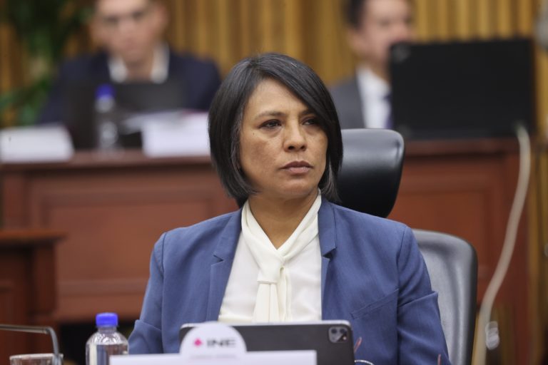 Norma Irene De La Cruz Magaña, Consejera Electoral. (Arturo Elías fotógrafo INE)