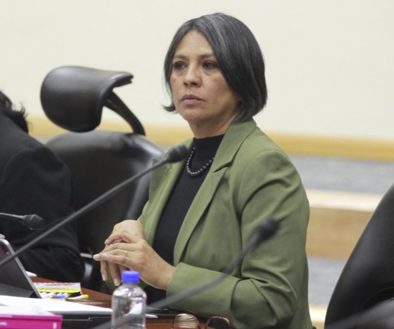 Norma Irene De La Cruz Magaña, Consejera Electoral.