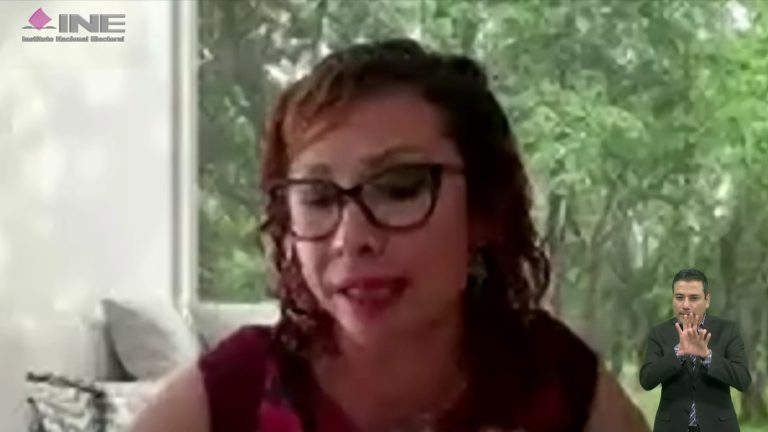 Sarah Patricia Cerna Villagra, Coordinadora de la Serie Paridad de género y respeto a los derechos humanos de las mujeres en el ámbito político electoral.