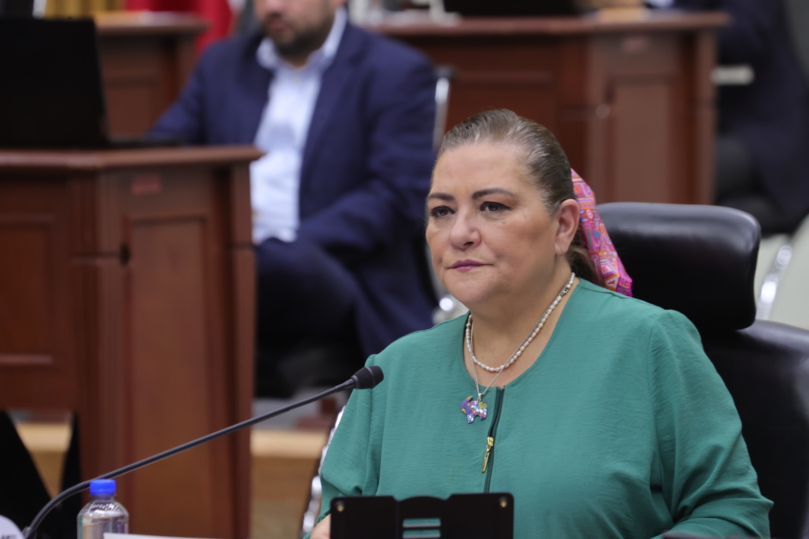 Guadalupe Taddei Zavala, Consejera Presidenta