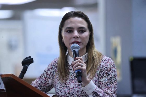 Carla Humphrey Jordan, Consejera Electoral del INE