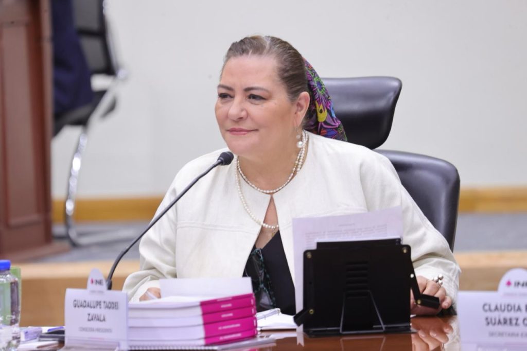 Guadalupe Taddei Zavala, Consejera Presidenta