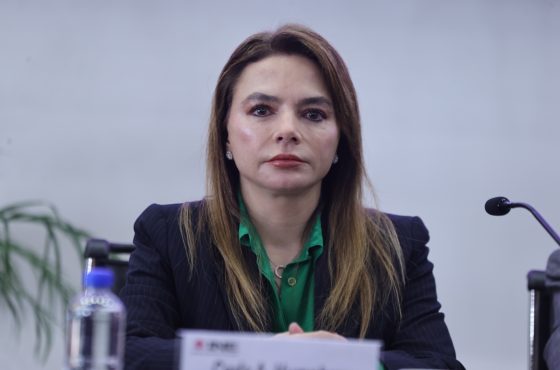 Carla Humphrey, Consejera Electoral