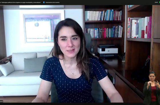 Dania Ravel Cuevas, Consejera Electoral