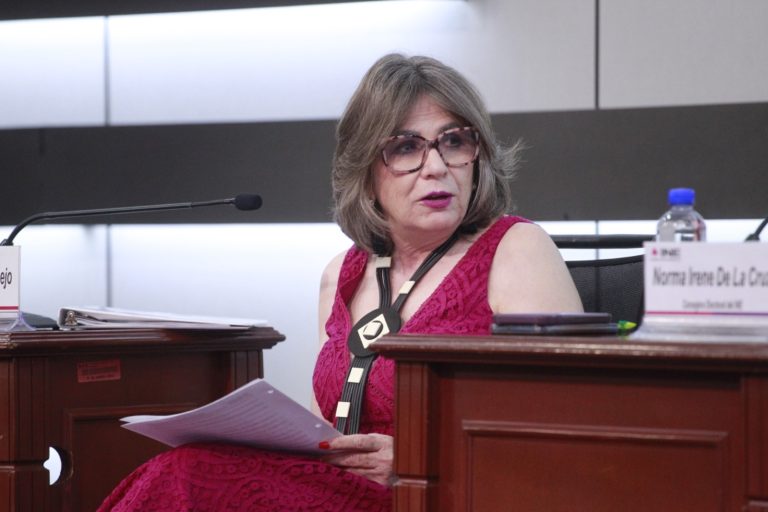 María Elena Cornejo Esparza, Directora Ejecutiva de Capacitación Electoral y Educación Cívica.