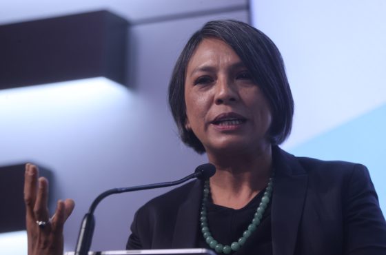 Norma Irene De La Cruz Magaña, Consejera Electoral del INE