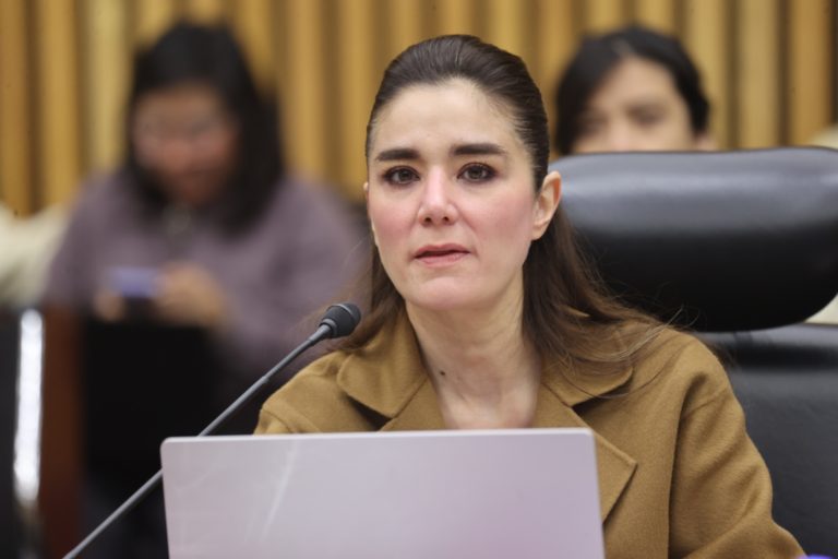 Dania Ravel Cuevas, Consejera Electoral. (Arturo Elías, fotógrafo INE)