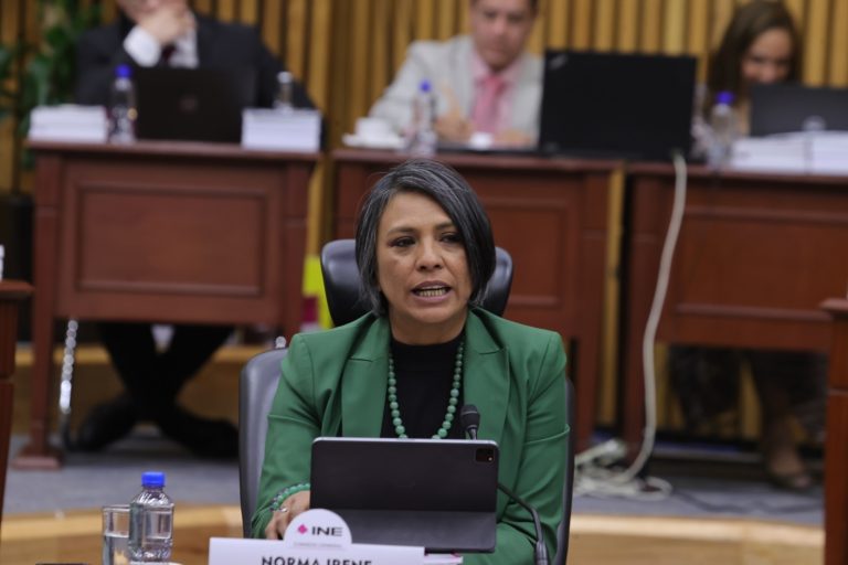 Norma Irene De La Cruz Magaña, Consejera Electoral.
