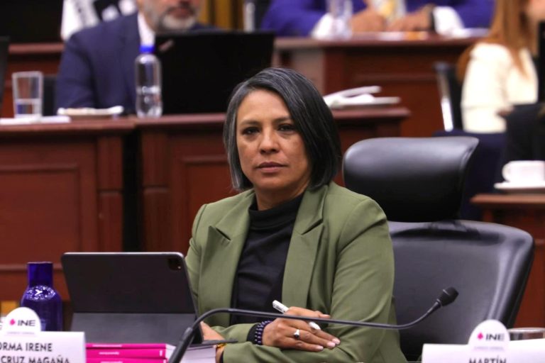 Consejera Electoral Norma De La Cruz