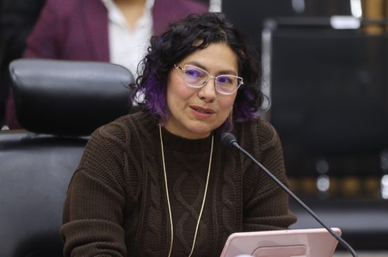 Rita Bell López Vences, Consejera Electoral