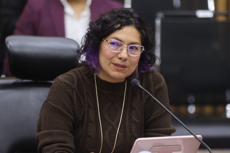 Rita Bell López Vences, Consejera Electoral