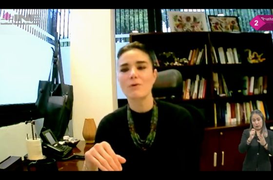 Consejera Electoral, Dania Ravel