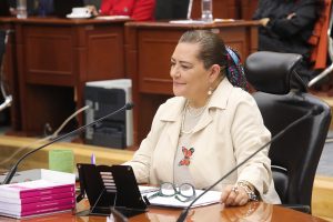 Consejera Presidenta del INE, Guadalupe Taddei