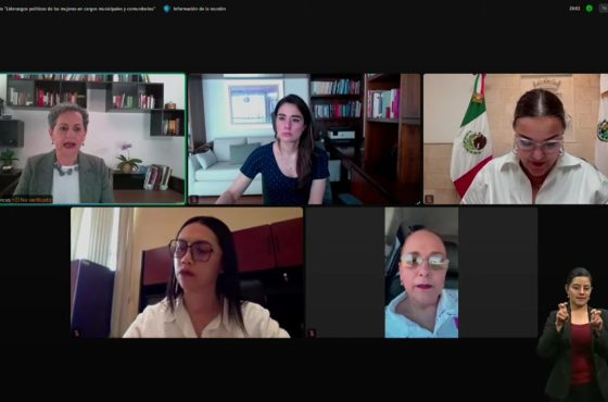 Sesión virtual de la 3ª edición de la Feria del Libro INE, Género, Inclusión y Democracia