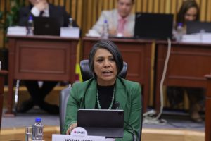 Consejera Electoral, Norma De La Cruz