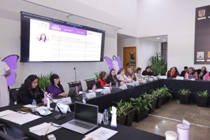 Acompañamiento institucional en materia de atención y prevención de la VPMRG