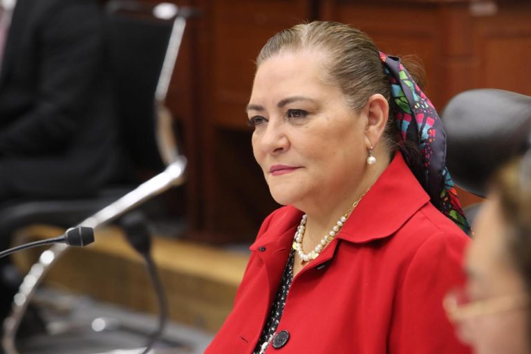 Guadalupe Taddei Zavala, Consejera Presidenta.