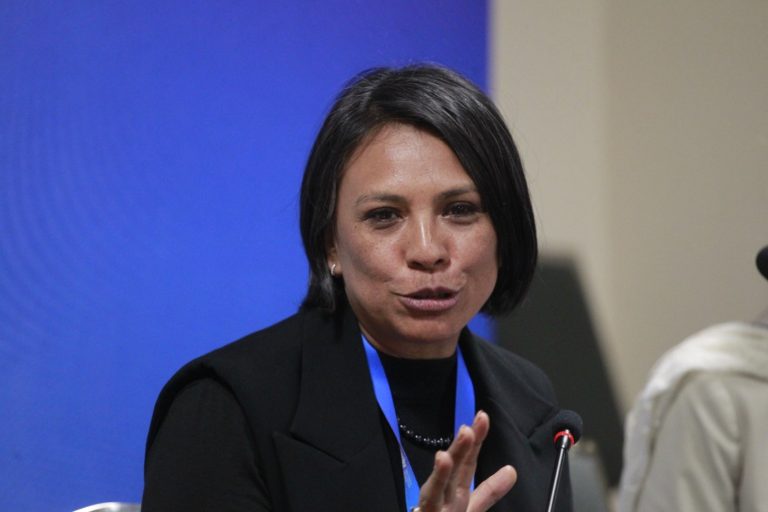 Consejera Electoral Norma Irene de la Cruz Magaña