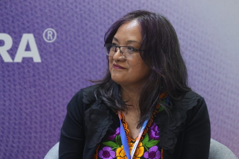 Ariana Estrada Villanueva, Coordinadora. (Foto INE)