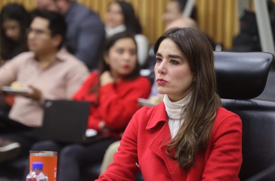 Dania Rave, Consejera Electoral