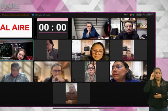 Imagen de la sesión virtual del consejo general del INE del 30 de diciembre de 2024