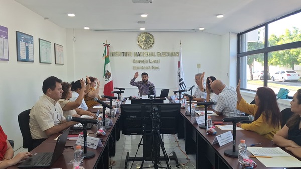 consejo local del ine votando a mano alzada