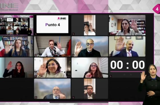 Fotografía de videollamada del Consejo General del INE