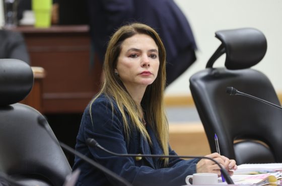 Carla Humphrey, Consejera Electoral