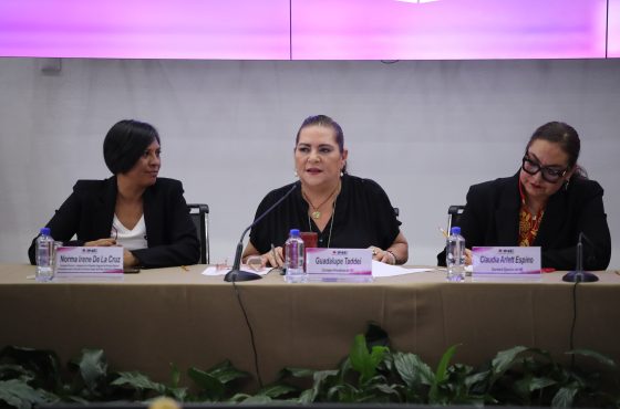 Consejera Presidenta Guadalupe Taddei acompañada de consejerías del INE, presentando el sitio "Conóceles, Practica y Ubica" a medios de comunicación