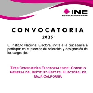 cartel del ine con información sobre la convocatoria