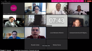 recuadro con pantallas con las personas en reunión virtual