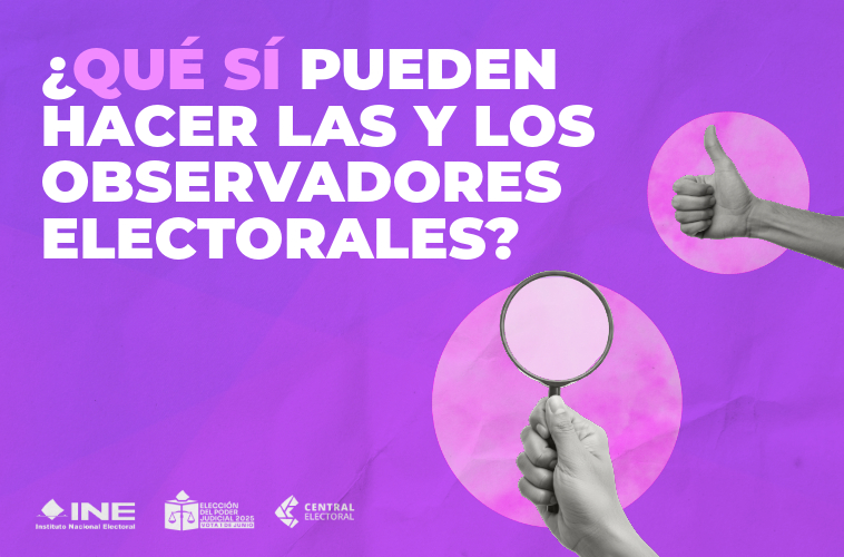 ¿Sabes qué sí y qué no pueden hacer las personas observadoras electorales en la elección judicial?